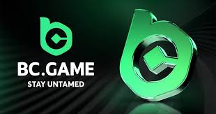 Maximize Your Earnings with BC.Game Referral Bonus